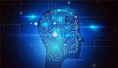 教育部支持七专业 计算机软件技术开发能否成为热门？